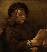 REMBRANDT Harmenszoon van Rijn Titus van Rijn, reading oil painting